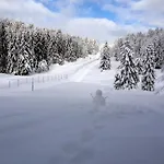 Nyaraló Laurieraphael